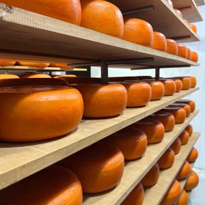 Queijo Tipo Gouda (6 Meses) - 300g